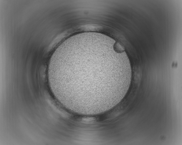 X0000112840357200909111427