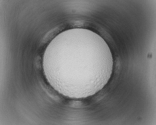 X0000112840361200909111427