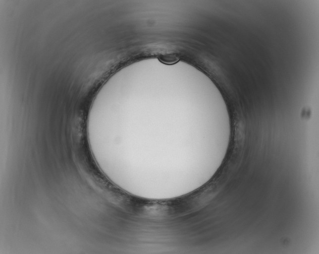 X0000112840362200909111427