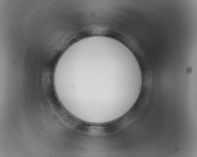 X0000112840363200909111427