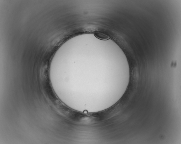 X0000112840364200909111427