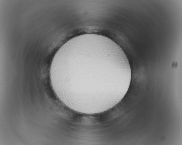 X0000112840367200909111427