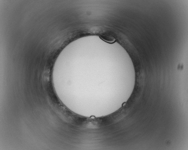 X0000112840368200909111427