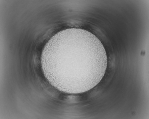 X0000112840371200909111427