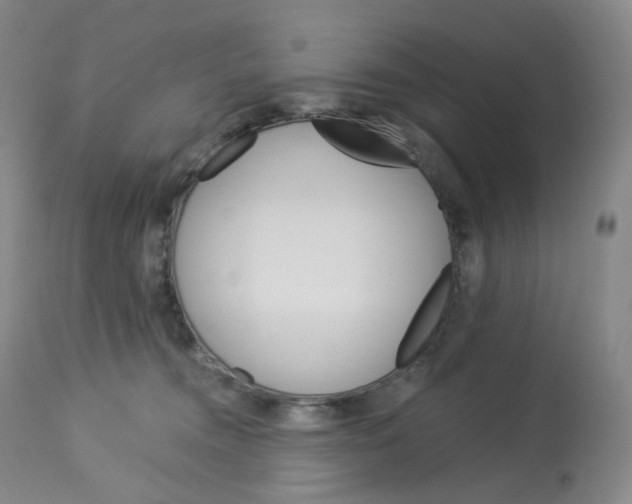 X0000112840372200909111427