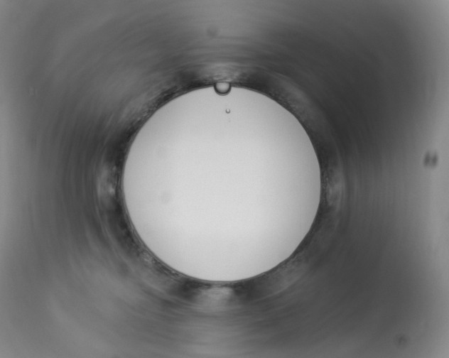 X0000112840374200909111427