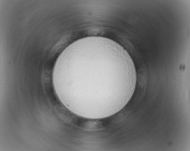 X0000112840375200909111427