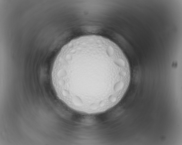 X0000112840377200909111428