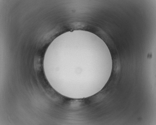 X0000112840378200909111428