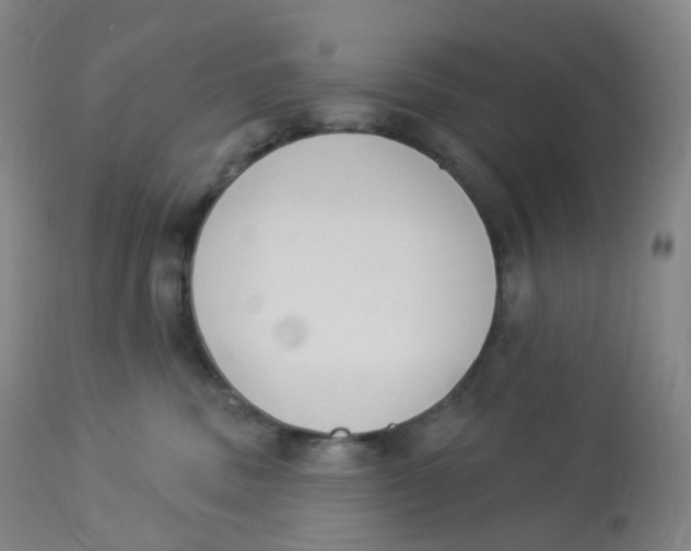 X0000112840379200909111428