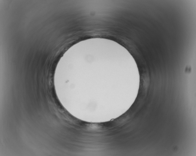 X0000112840380200909111428