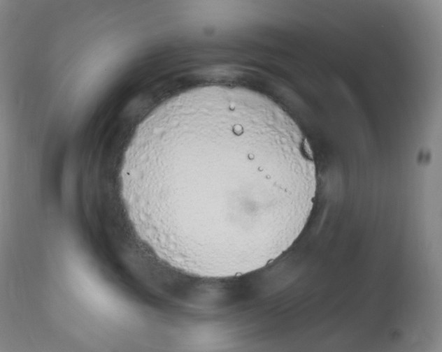 X0000112840381200909111428