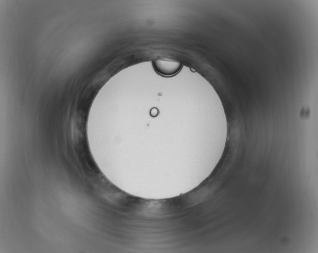 X0000112840382200909111428