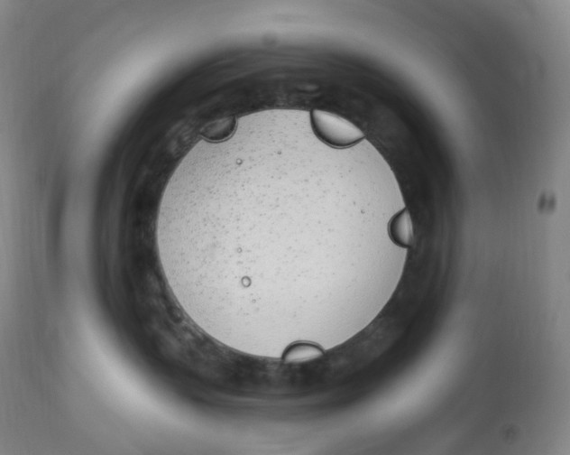 X0000112840383200909111428