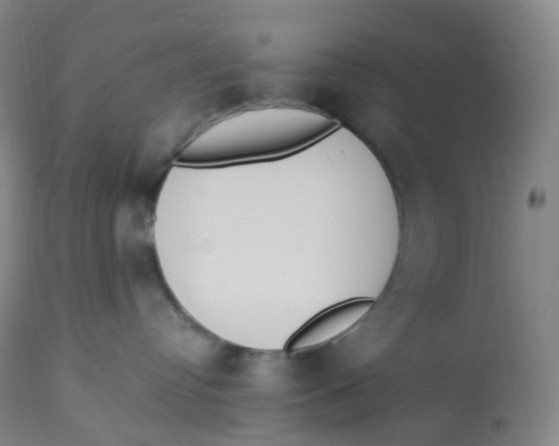 X0000112840384200909111428