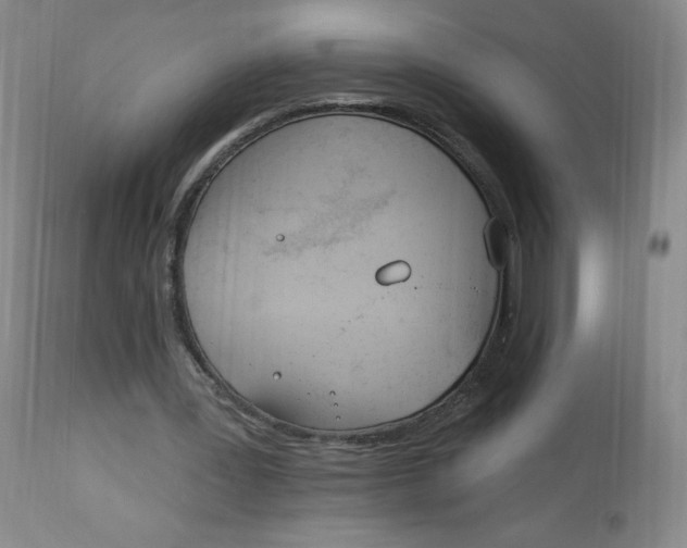 X0000112840387200909111427