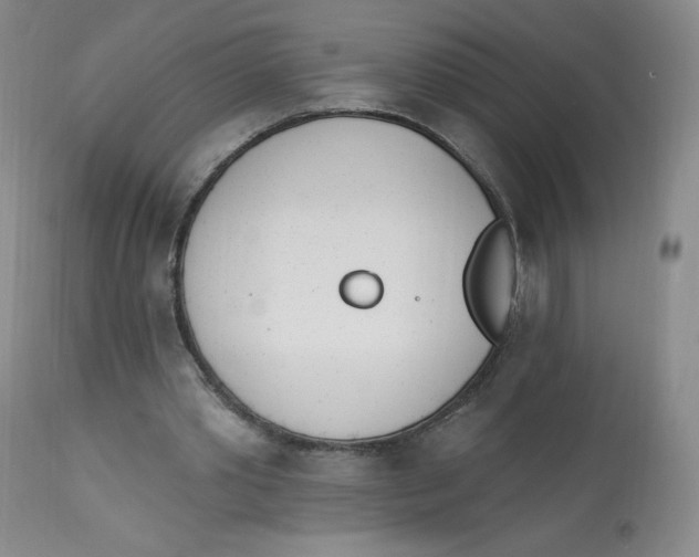 X0000112840389200909111427