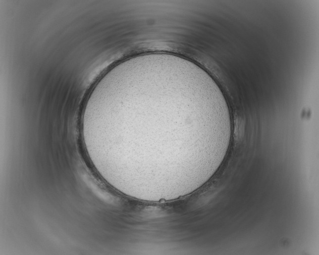 X0000112840390200909111427