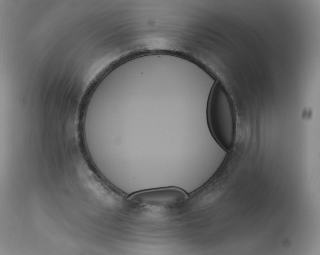 X0000112840391200909111427