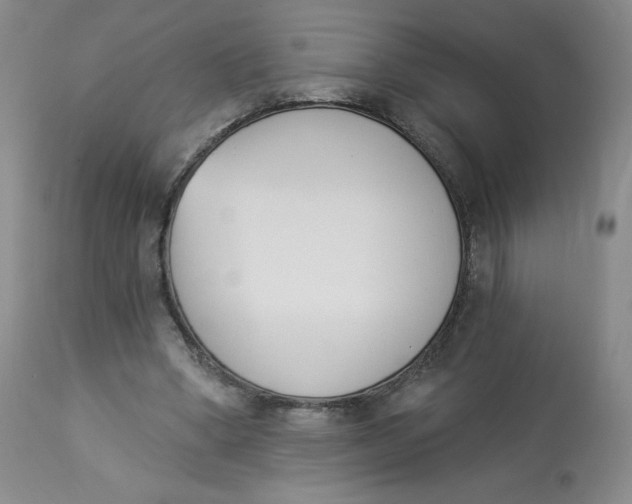 X0000112840394200909111427