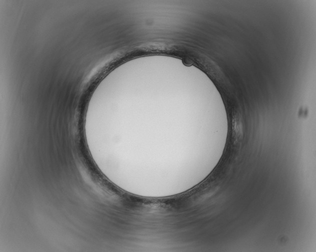 X0000112840396200909111427