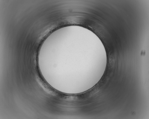 X0000112840398200909111427