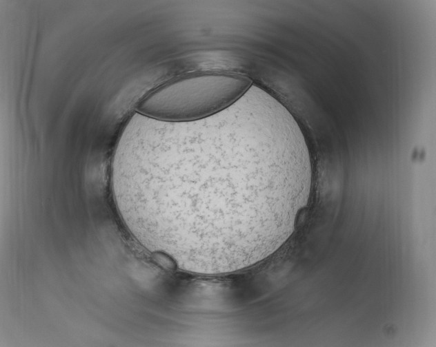 X0000112840405200909111426