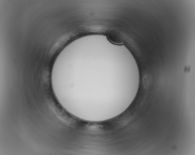 X0000112840407200909111426