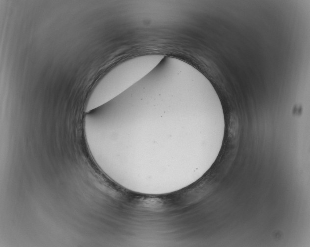 X0000112840409200909111426