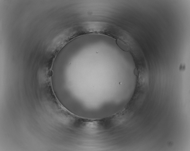 X0000112840411200909111426