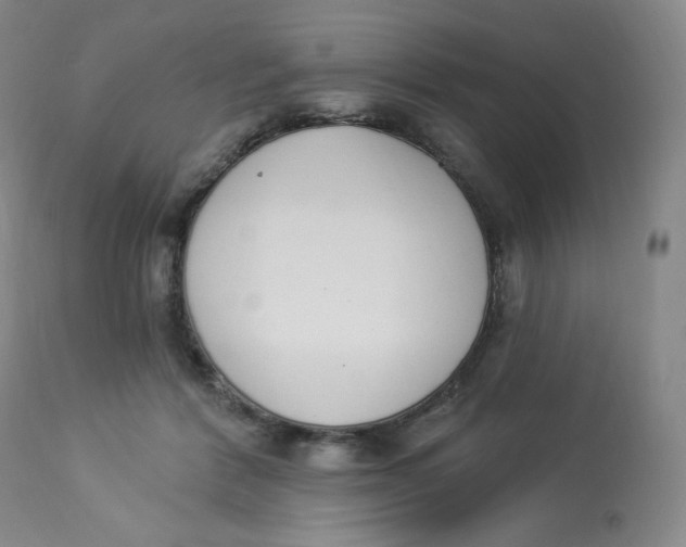 X0000112840412200909111426