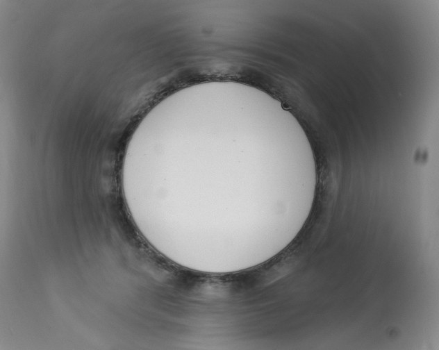 X0000112840416200909111426