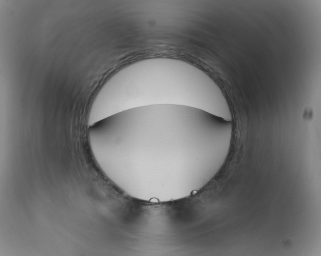 X0000112840417200909111426