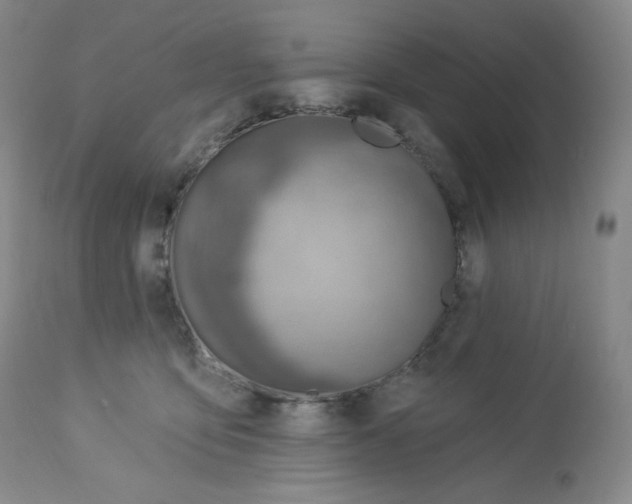 X0000112840419200909111426