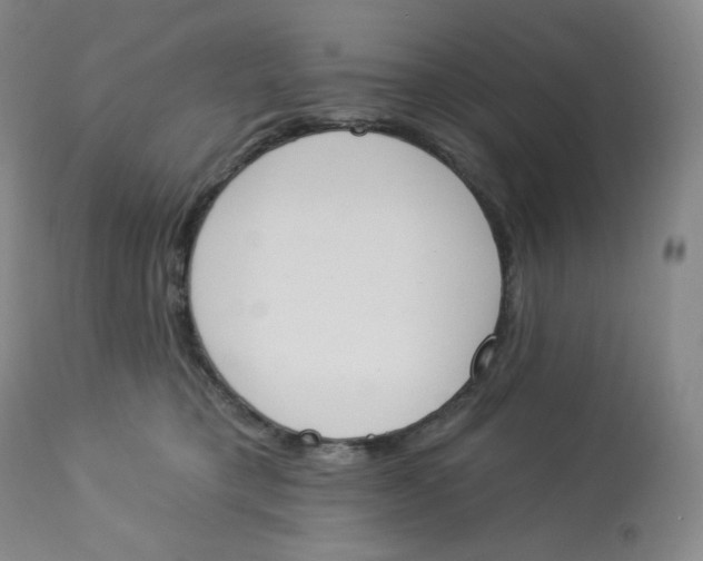 X0000112840421200909111426