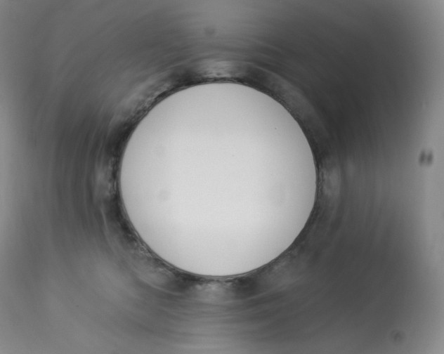 X0000112840422200909111426