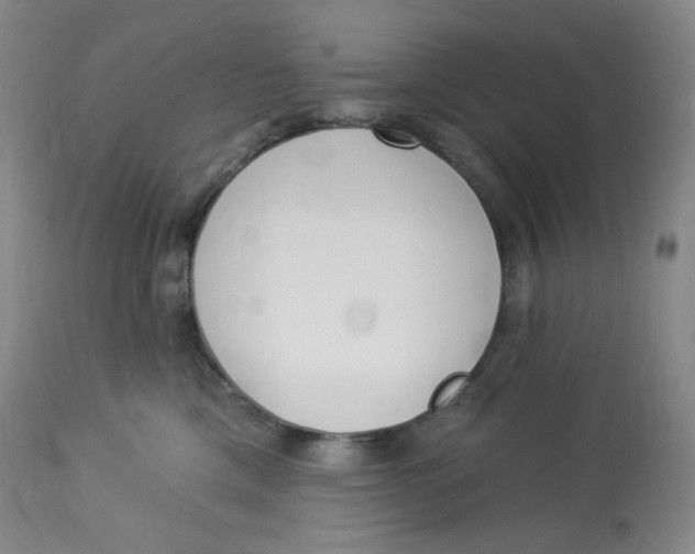 X0000112840425200909111426