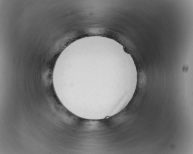 X0000112840428200909111426