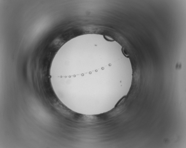 X0000112840429200909111426