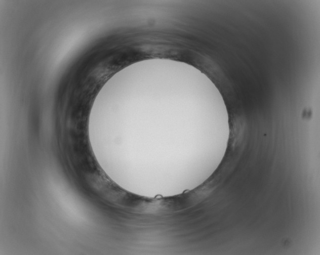 X0000112840430200909111426