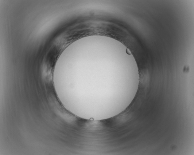 X0000112840431200909111426