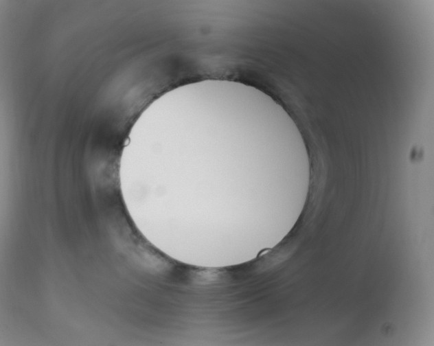 X0000112840432200909111426