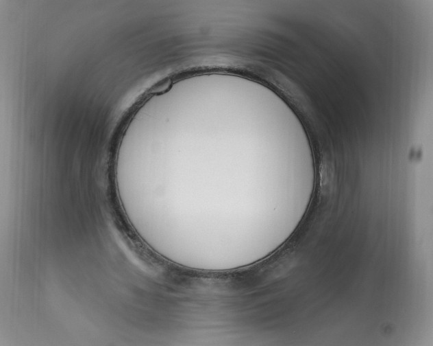 X0000112840436200909111425