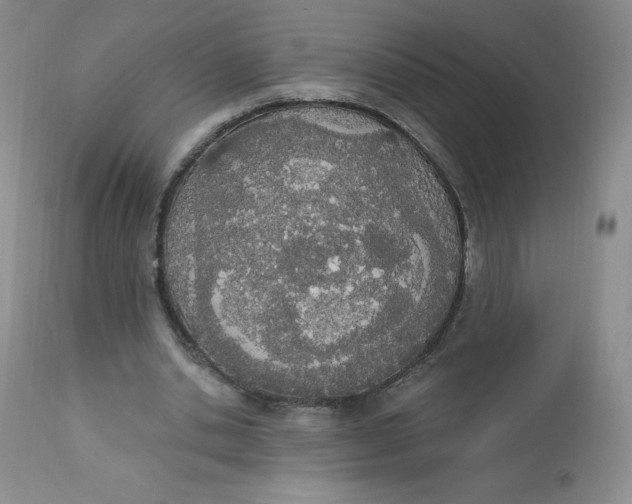 X0000112840438200909111425