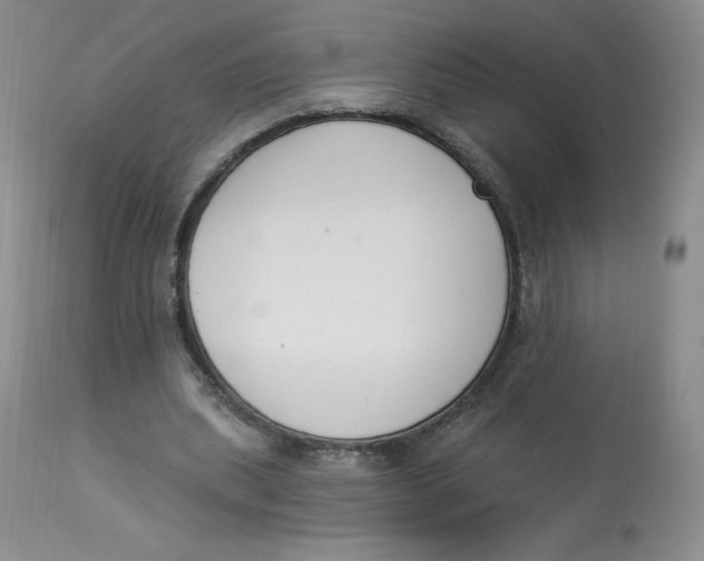 X0000112840439200909111425