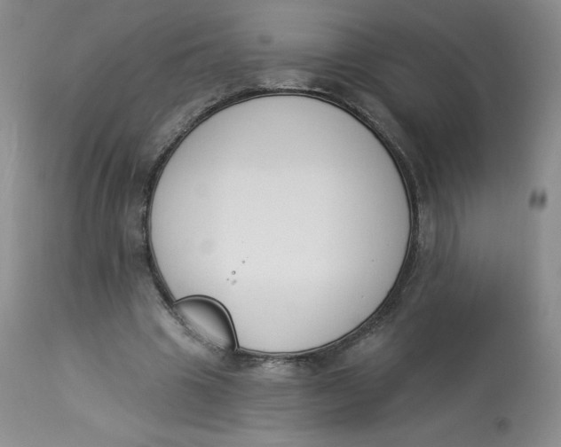 X0000112840441200909111425