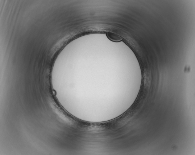 X0000112840445200909111425