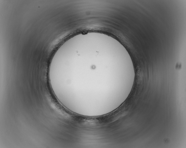 X0000112840446200909111425