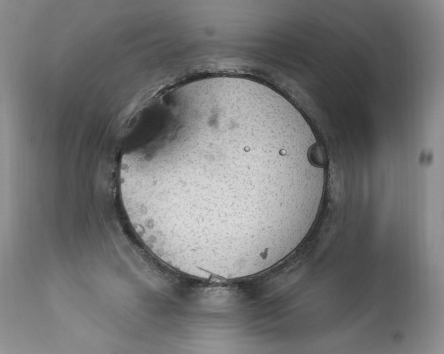 X0000112840449200909111425