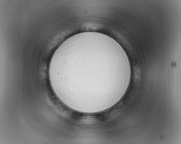 X0000112840451200909111426